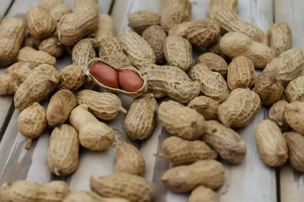 Bolest Pod Kolenem Zezadu
